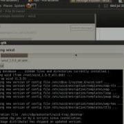 Install Wicd In Backtrack 5