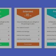 Responsive Pricing Table Using HTML CSS