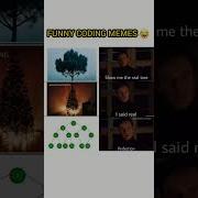 Funny Programming Memes Shorts Coding Programming Haha Funny Developer