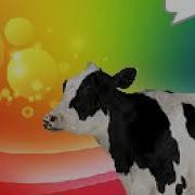 Cow Error 360