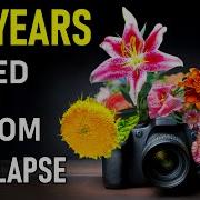 10 самых красивых покадровых снимков роста цветов
