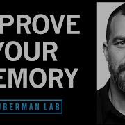 Understand Improve Memory Using Science Based Tools