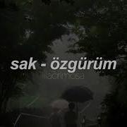 özgürüm Sak Slowed Reverb