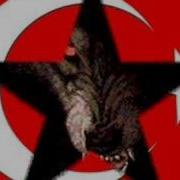 çırpınırdı Karadeniz