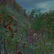 Procedural Tree Generation In Unity Using Blendity 1 2