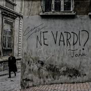 NE VARDI