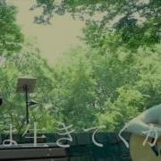 MV Celluloid な音
