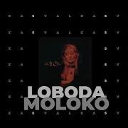 LOBODA MoLOko