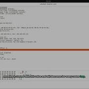 UDP Packet Analysis For DNS Response With Wireshark