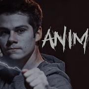 Void Stiles Animals