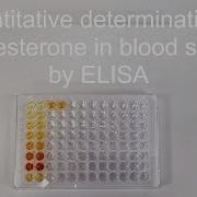 5 14 Quantitative Determination Of Progesterone In Blood Serum By ELISA