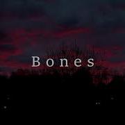 Bones Calcium Sub Español
