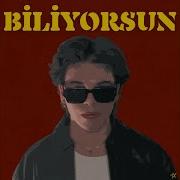 Biliyorsun