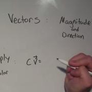 Vectors Vector Basics