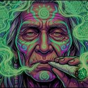 Deep Psy Dub Mix Mushroom Spirits Awaken Psychill Dub PsyDub Chill Out Psy Dub Ambient