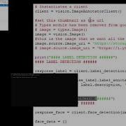 Google Cloud AI Face Recognition Emotion And Sentiment Analysis Object Face Text Identification
