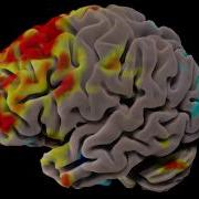 FMRI Data Visualization