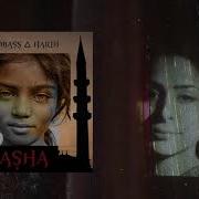 PROBASS HARDI Asha