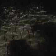 Reflection Please Watch In 1080p HD