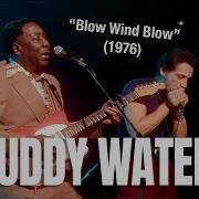 Muddy Waters Blow Wind Blow 1976 Reelin In The Years Archive