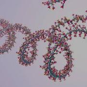 What Is The Goal Of Within Sample Normalization In RNA Sequencing Analysis