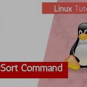 Linux Sort Command Complete Tutorial On Sorting Contents Of A File