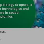 Mapping Biology In Space A Guide To Technologies And Workflows In Spatial Transcriptomics