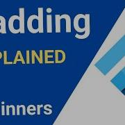 Flutter Padding Explained For Beginners