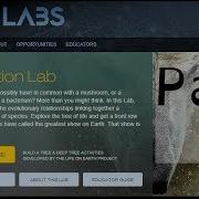 Nova Lab Evolution Game Let S Play A Classification Puzzle Game Part 2
