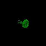 Vortex Ring Flow Re 25K