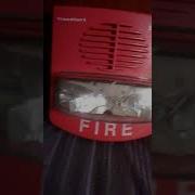 Review Of The Simplex 4903 9417 Addressable Smart Sync Truealert Horn Strobe