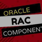 Oracle RAC Components Basic Cluster Components