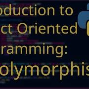 One Code Many Forms Master Polymorphism In Python