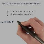 How Many Numbers Does This Loop Print Intro To Java Programming