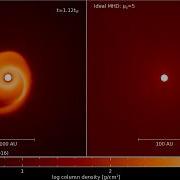 Disc Formation Around A Forming Star Hydrodynamics Vs Ideal MHD