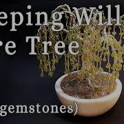 How To Make A Weeping Willow Wire Tree With Gemstones
