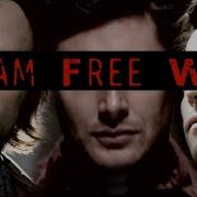 Gold Team Free Will Dark