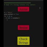 Junior Vs Senior Developer Coding Programming Python Shorts
