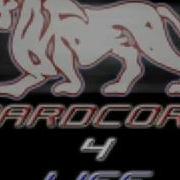 V D Hardcore Megamix Vol 3