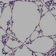 Complex Network Growth And Chaos From A Simple Rewrite Model