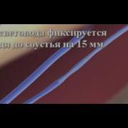 ЭВЛК 3D Avi