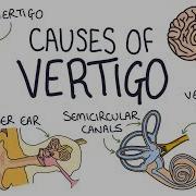 Understanding The Causes Of Vertigo