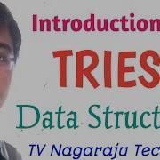 ВВЕДЕНИЕ В TRIE ТИПЫ TRIE СТАНДАРТНОЕ TRIE СЖАТОЕ TRIE СУФФИКСНОЕ TRIE