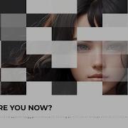 Ali Mir Alan Kojaei Where Are You Now Lyric Video
