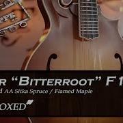 Weber Bitterroot F14 F F Style Mandolin Review
