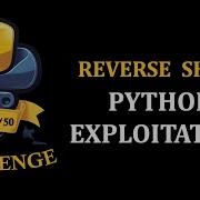 Day 8 50 Create Reverse Shell In 15 Lines Of Python PentestHint