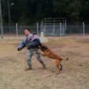 MWD On A Bite