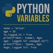 Python Variables A Beginner S Guide