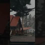 Thunder Wave On Tree Shorts Thunderwave Thunder Viral Trending