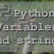 5 Learn To Use Python Variables And Strings
